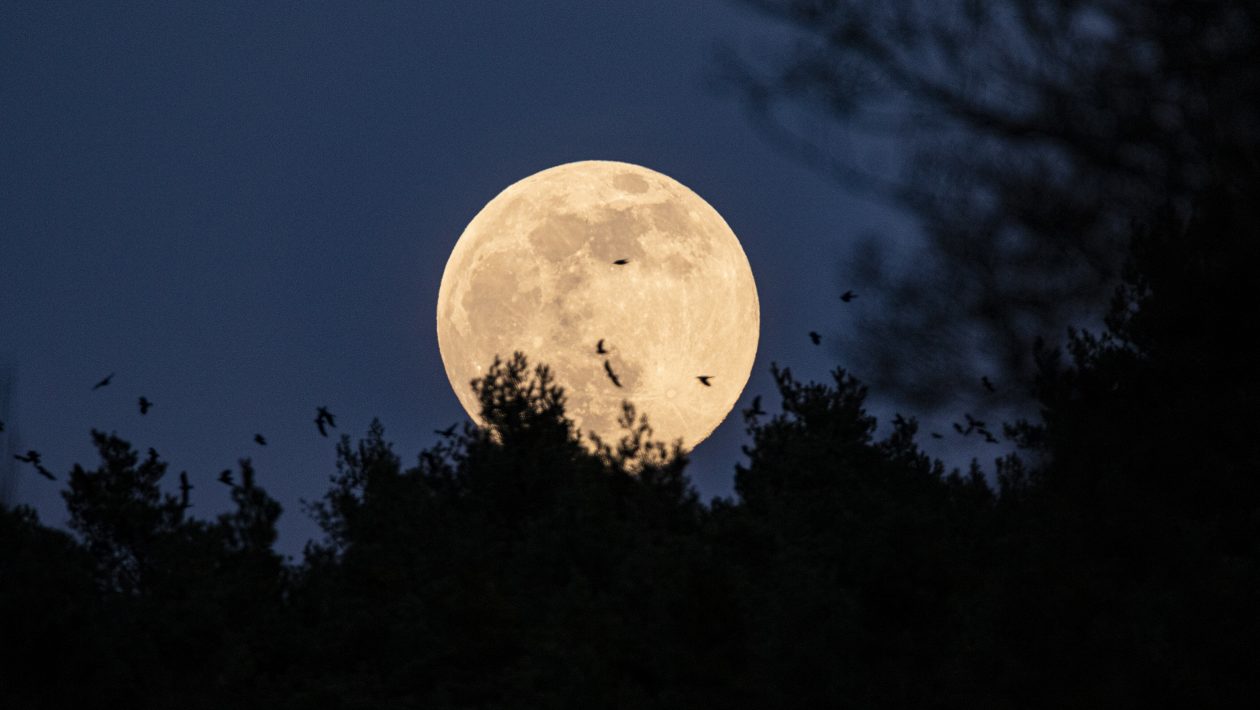 Fototipps Online - Shootings - Vollmond