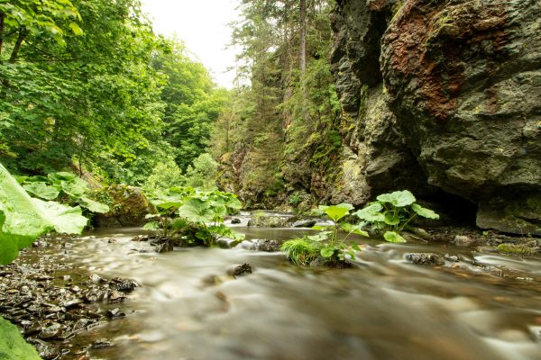 Ausrüstungstipps ND-Filter